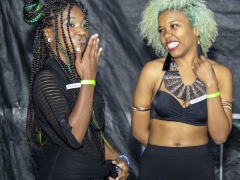 2019-African Festival of the Arts Photo by Levilyn Chriss (17)